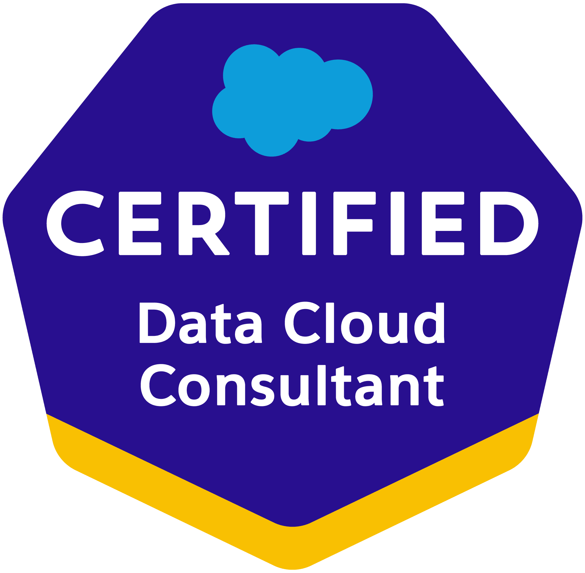 Salesforce Consultant