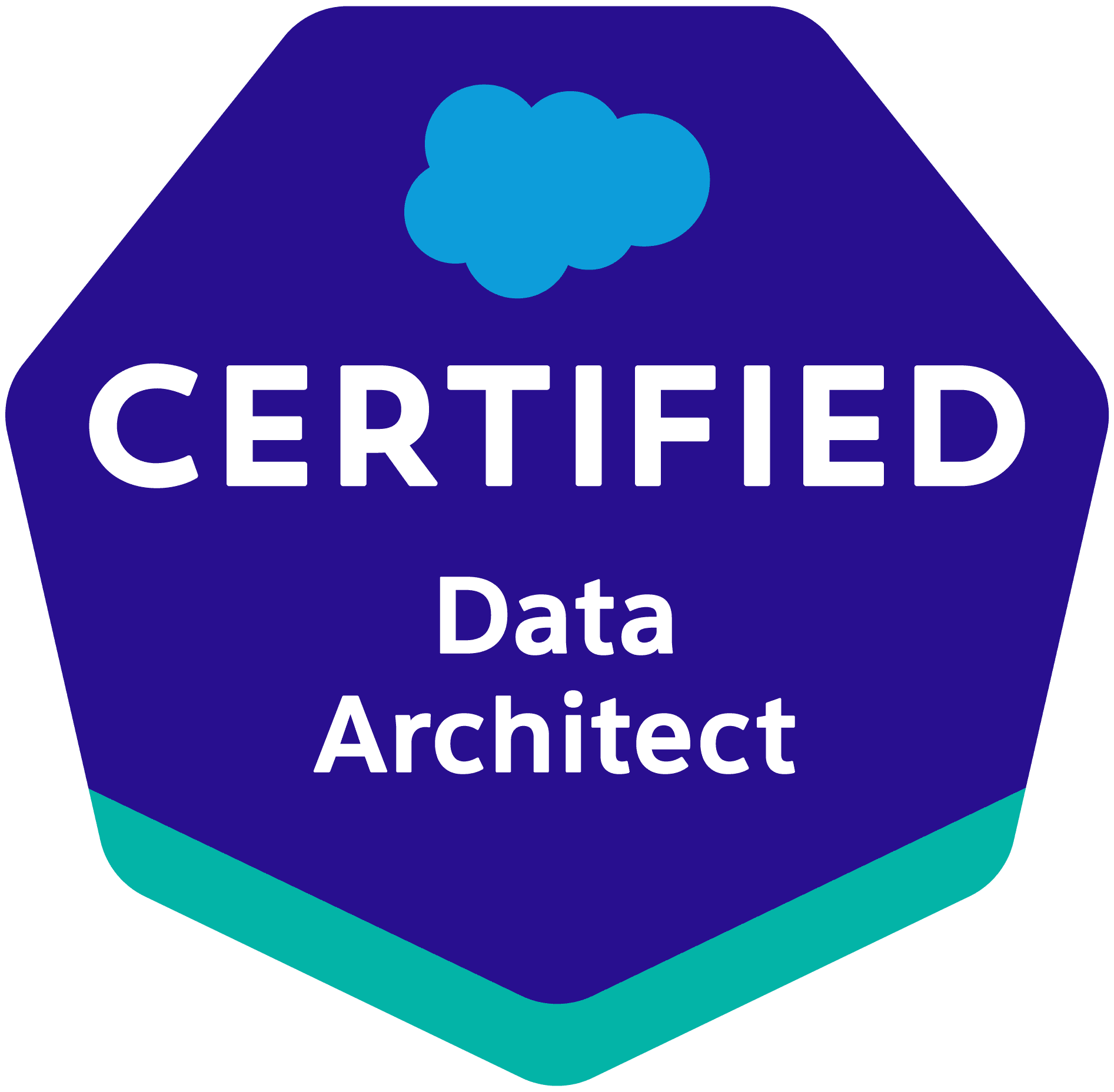Salesforce Data Architect