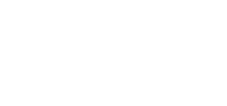 Bespin Global
